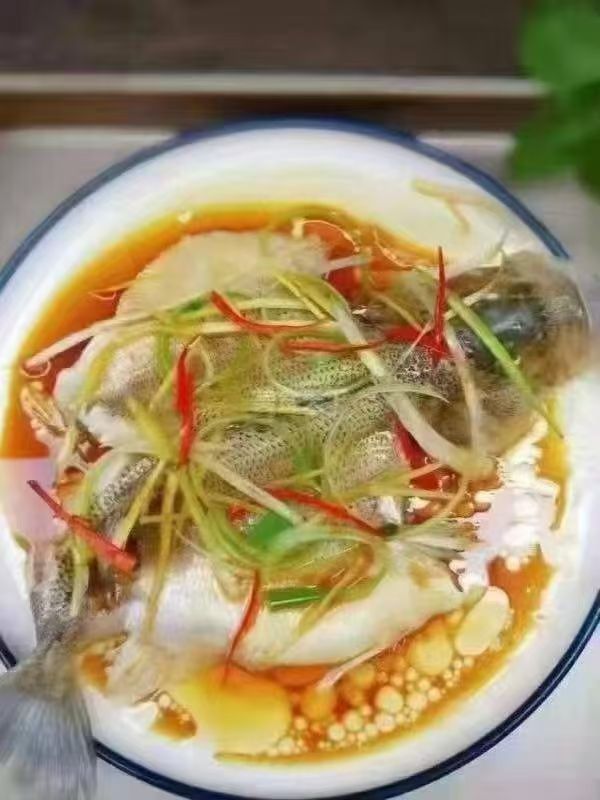 阿姨资料照片
