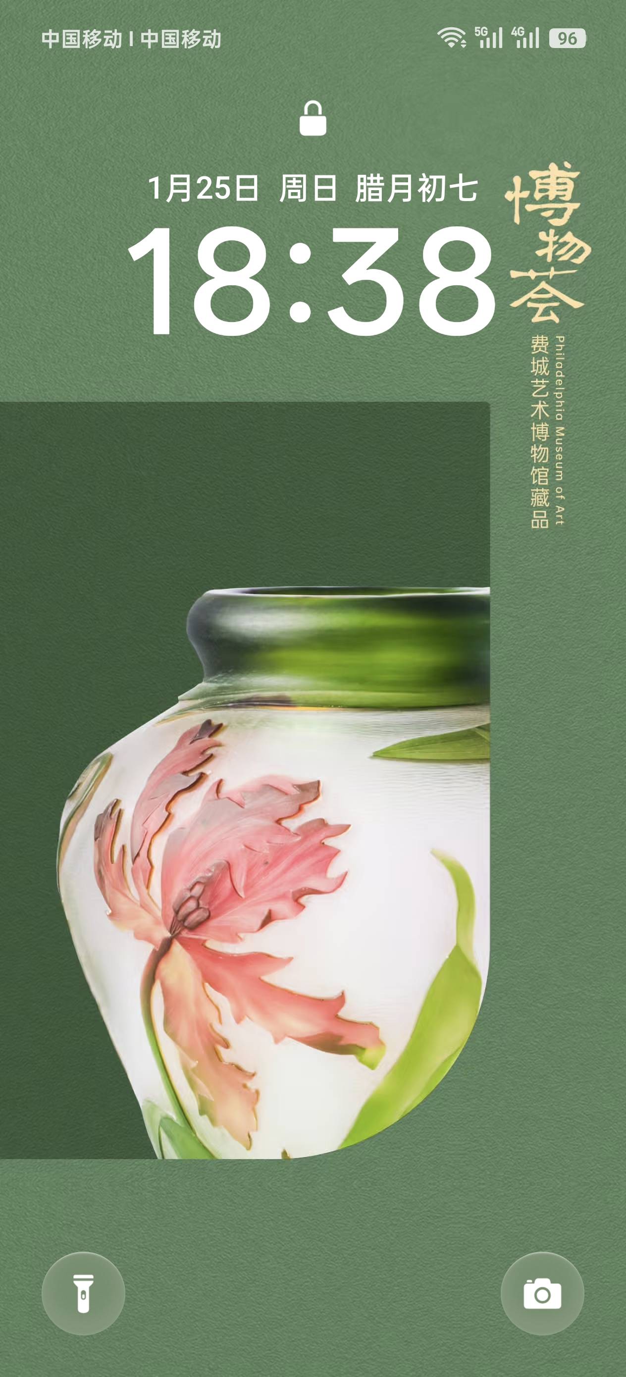阿姨资料照片
