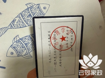 阿姨资料照片