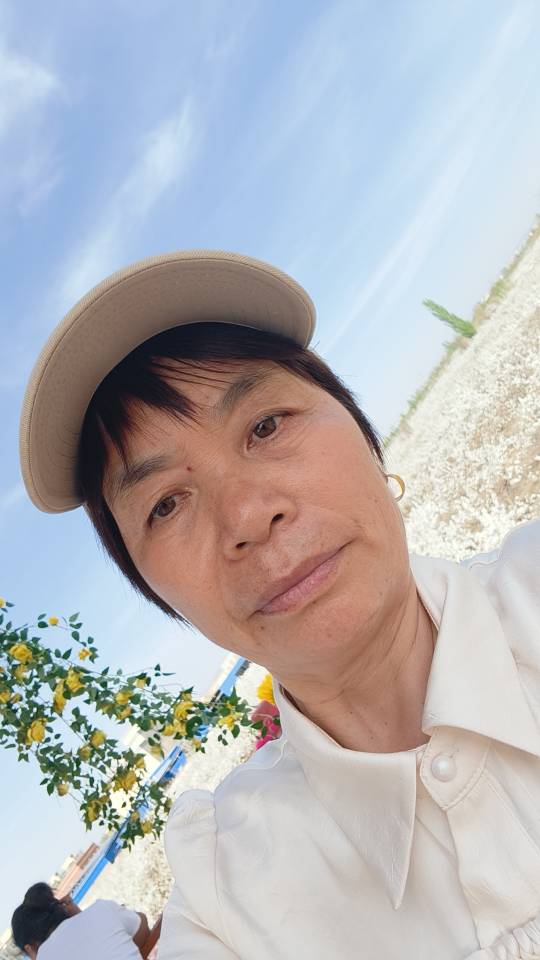 阿姨资料照片
