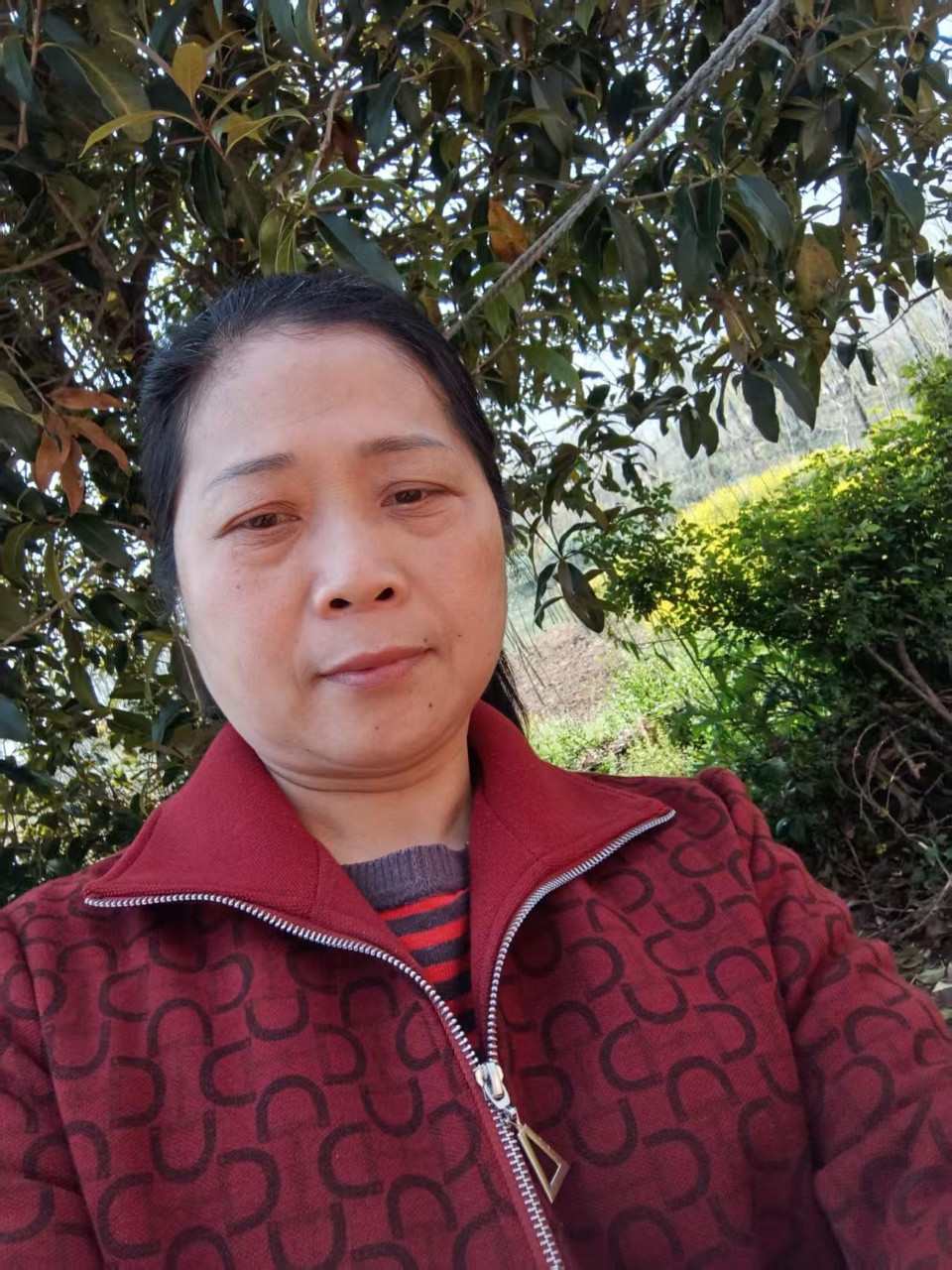 阿姨资料照片
