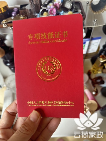 阿姨资料照片