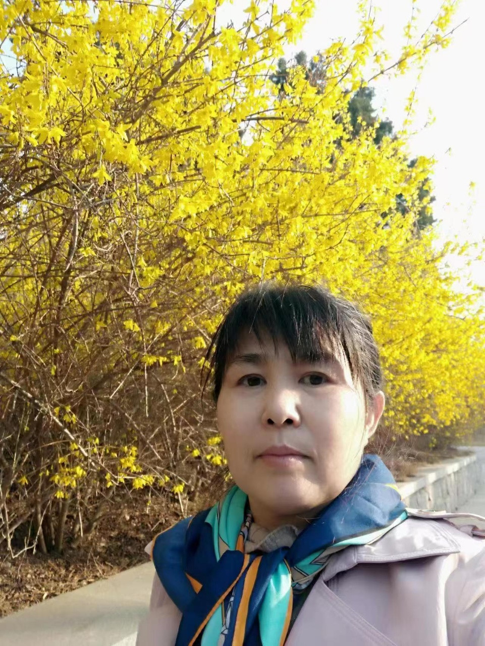 阿姨资料照片