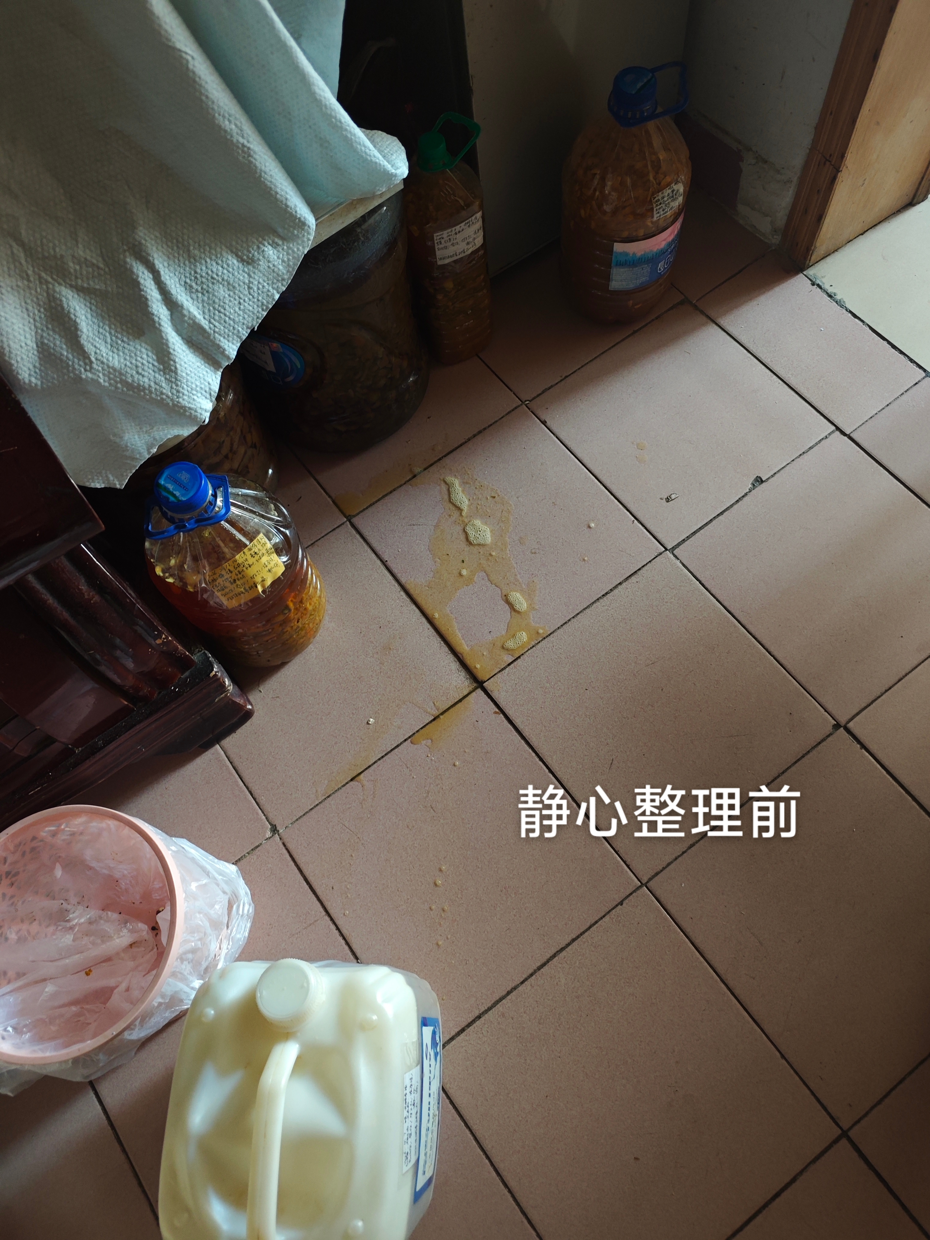 阿姨资料照片
