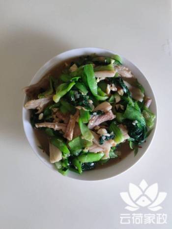 阿姨资料照片