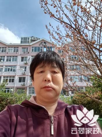 阿姨资料照片