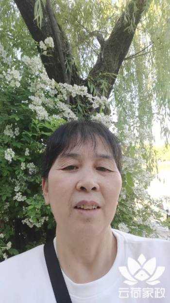 阿姨资料照片