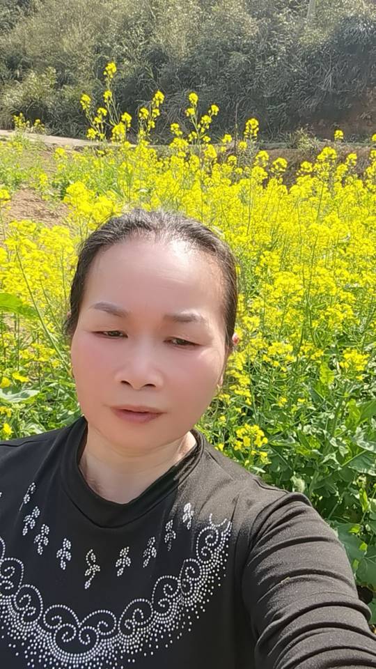 阿姨资料照片