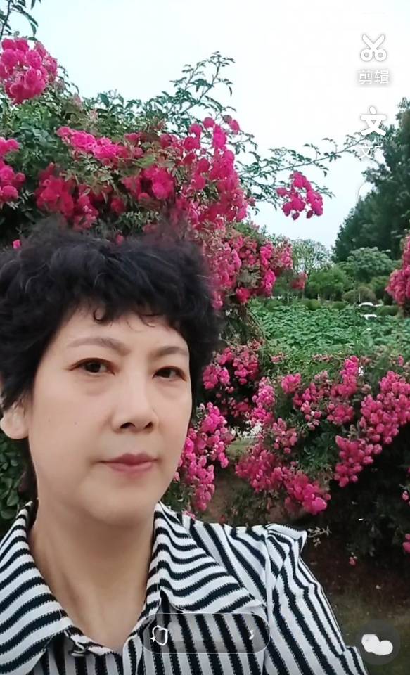 阿姨资料照片