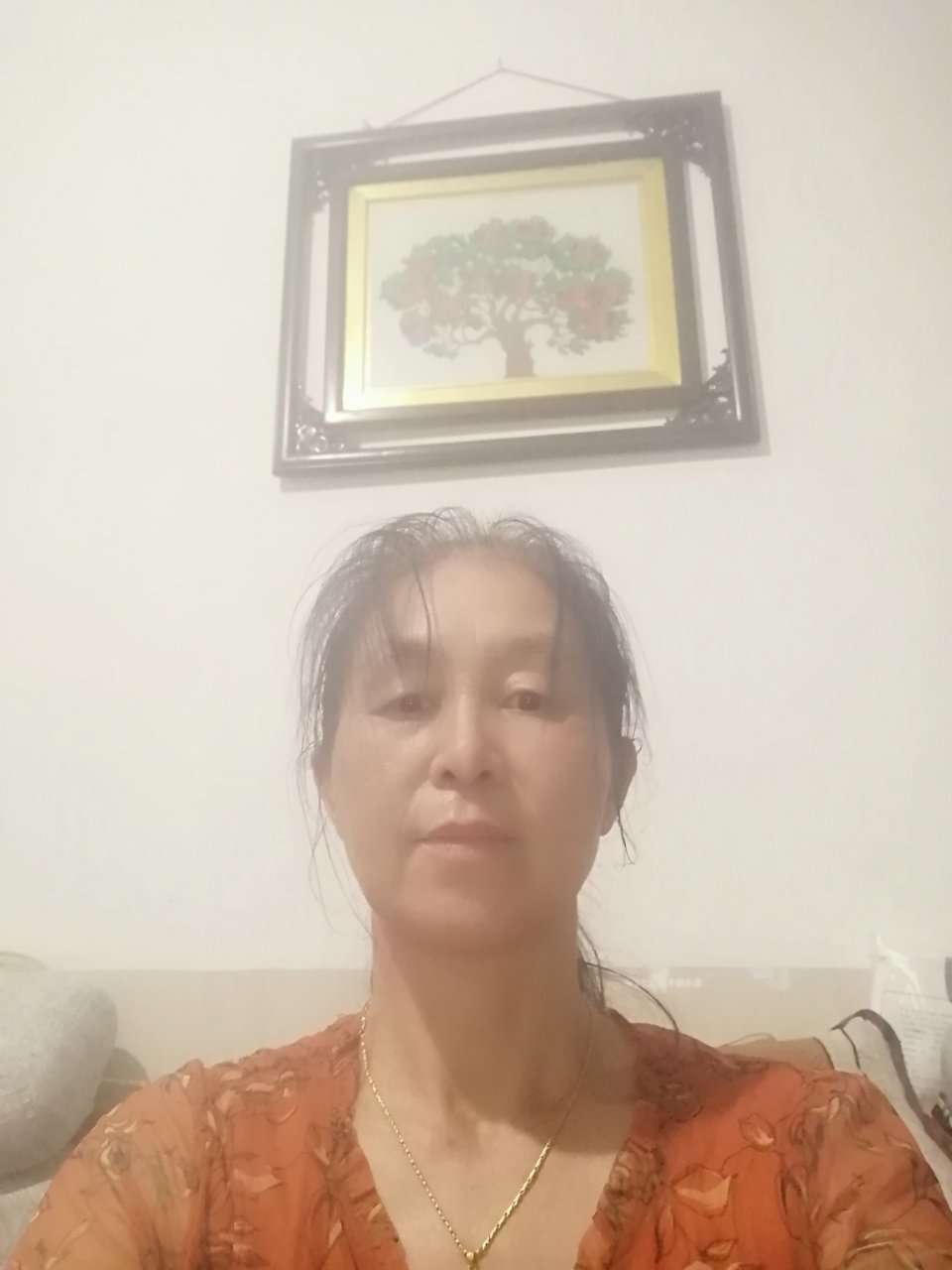 阿姨资料照片