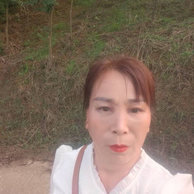 阿姨资料照片