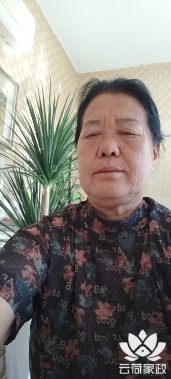 阿姨资料照片