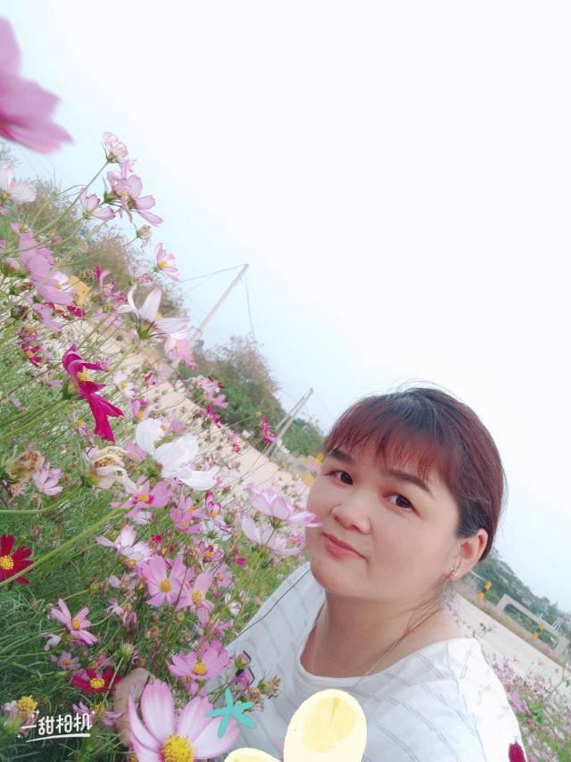 阿姨资料照片