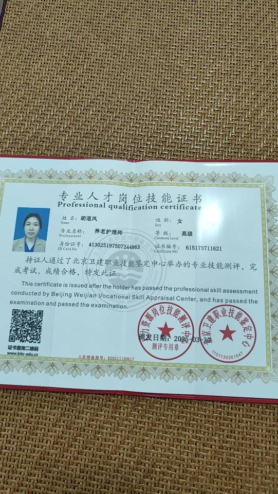 阿姨资料照片