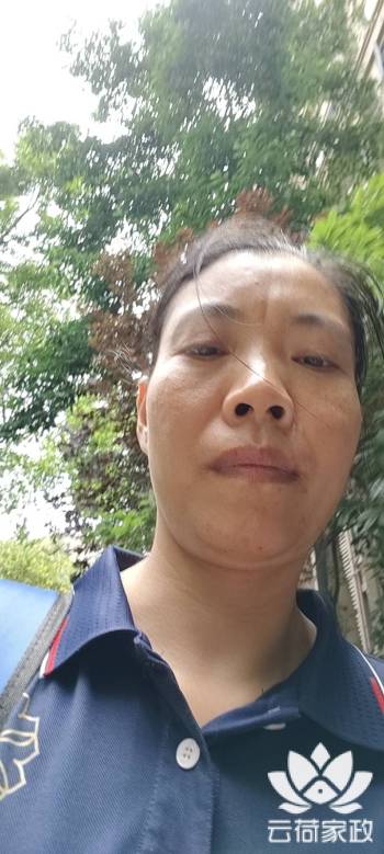 阿姨资料照片