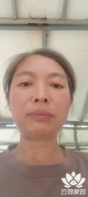 阿姨资料照片