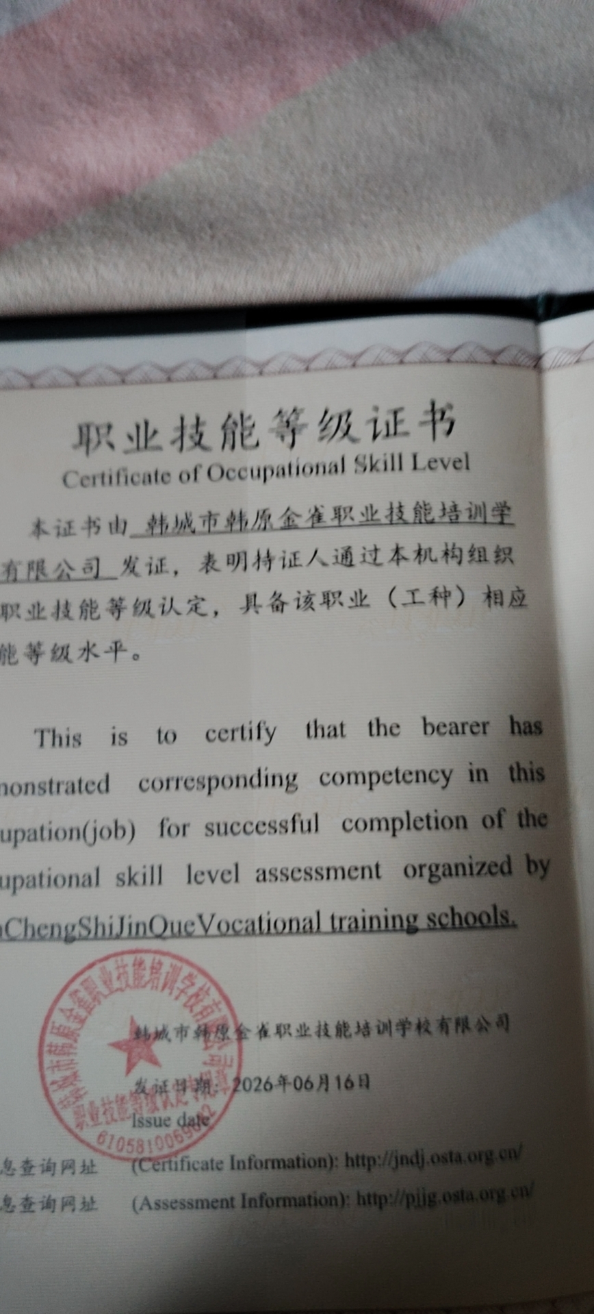 阿姨资料照片