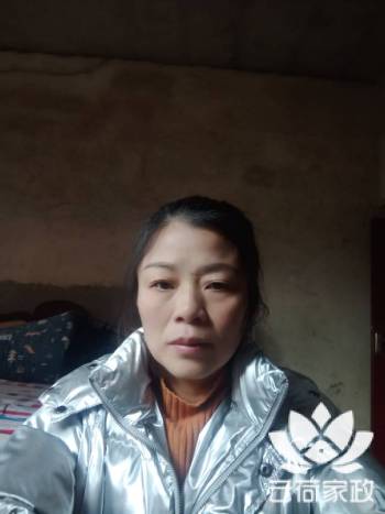 阿姨资料照片