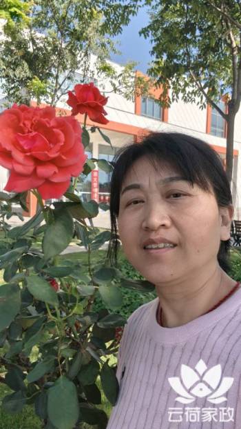 阿姨资料照片