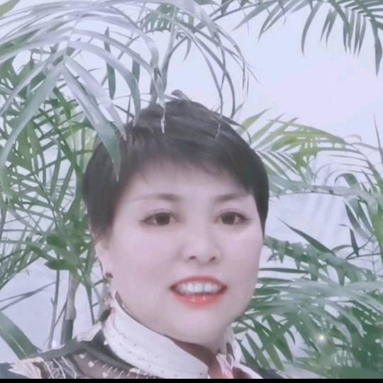 阿姨资料照片
