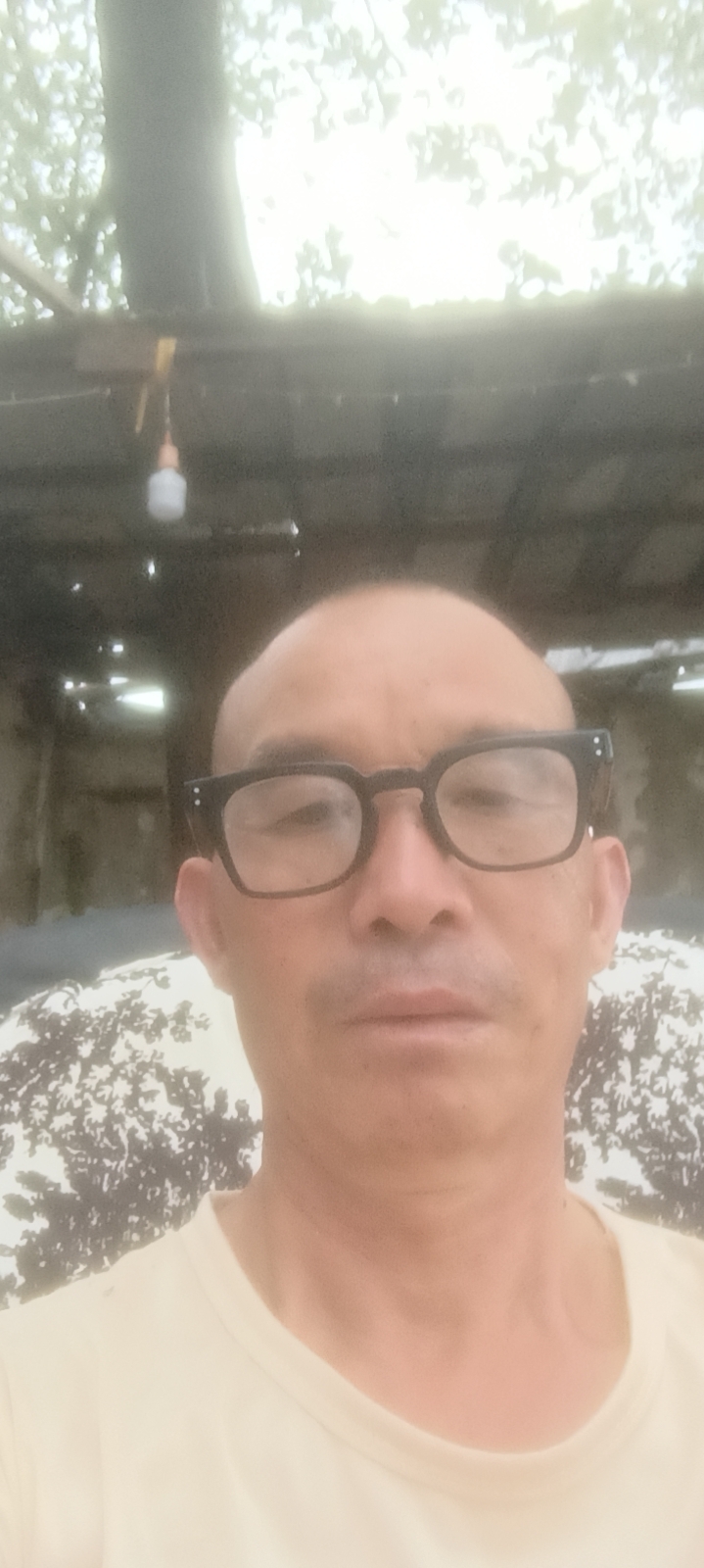 阿姨资料照片