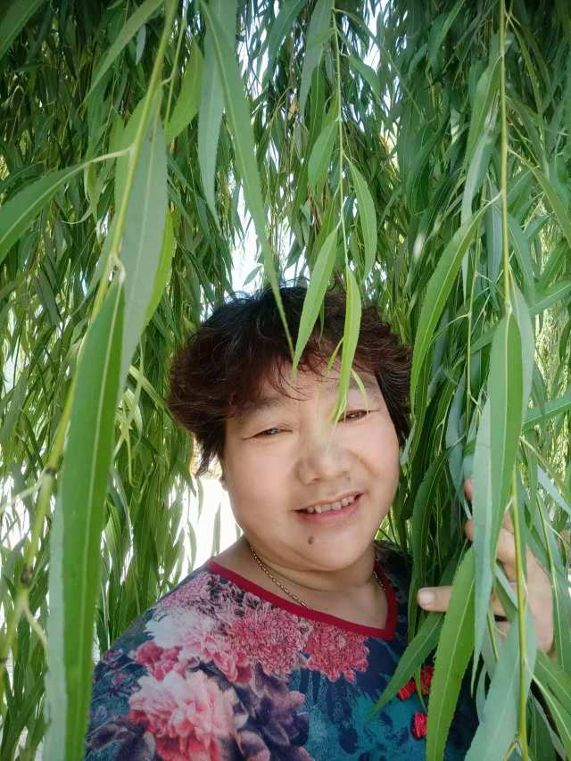 阿姨资料照片