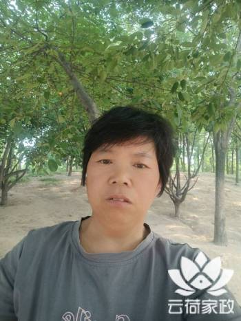阿姨资料照片
