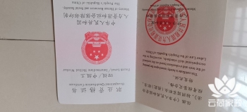 阿姨资料照片