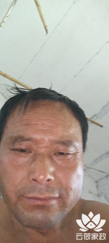 阿姨资料照片
