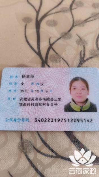 阿姨资料照片