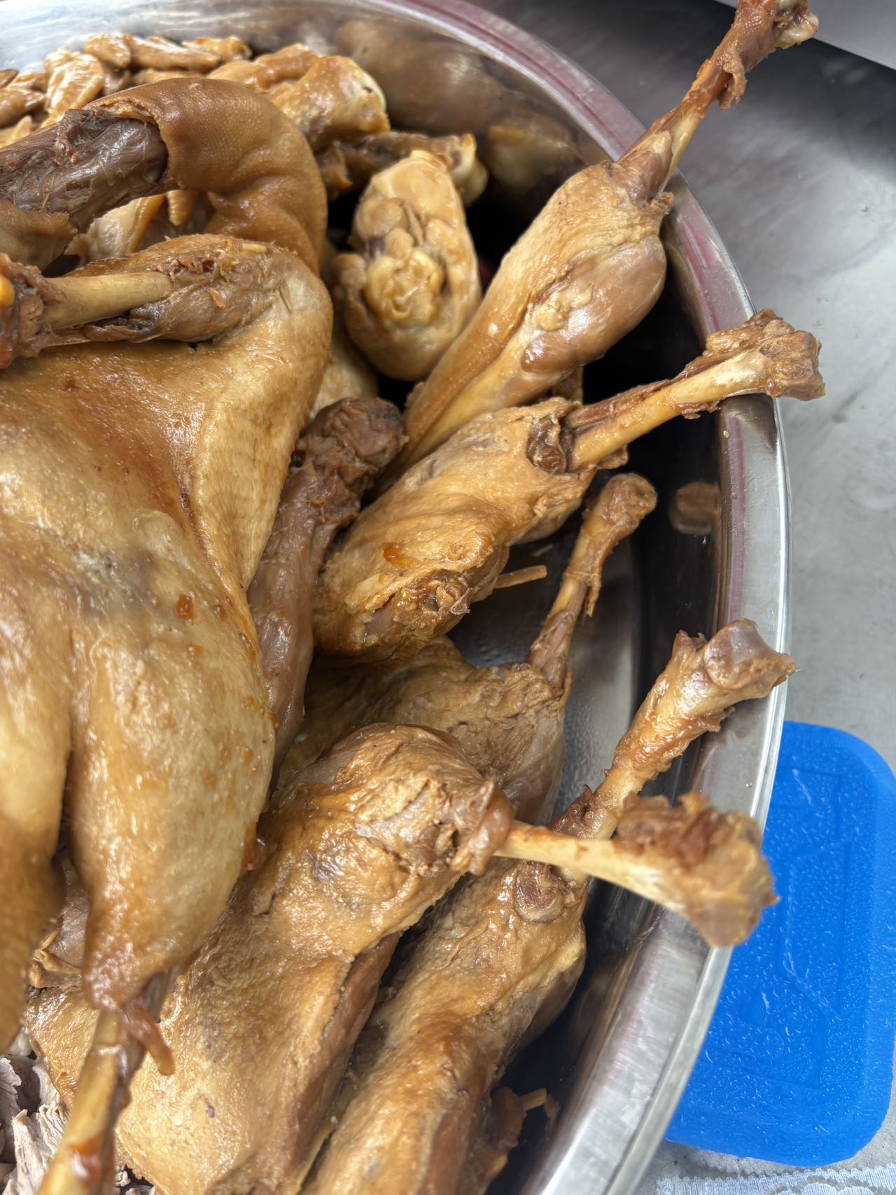 阿姨资料照片