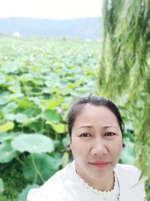 阿姨资料照片