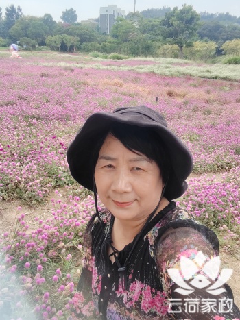 阿姨资料照片