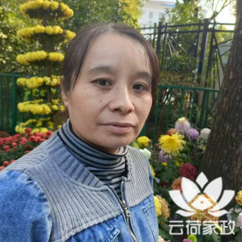阿姨资料照片