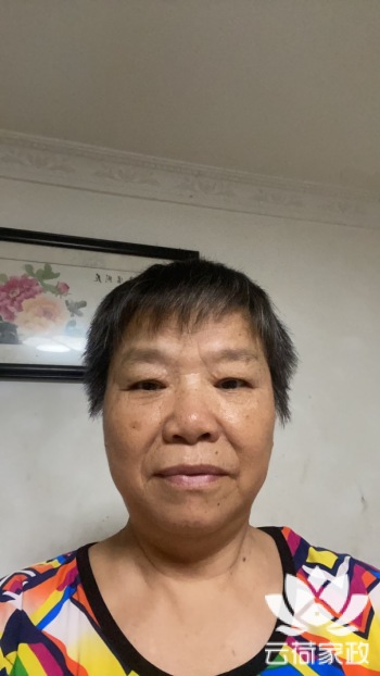 阿姨资料照片