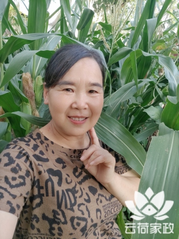 阿姨资料照片