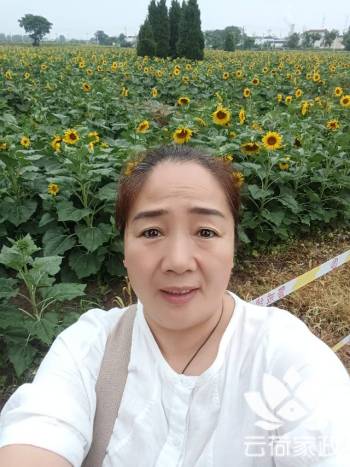 阿姨资料照片