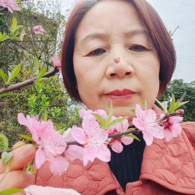 阿姨资料照片