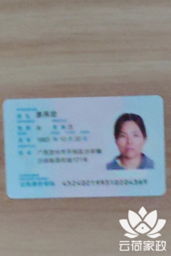 阿姨资料照片