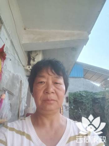 阿姨资料照片