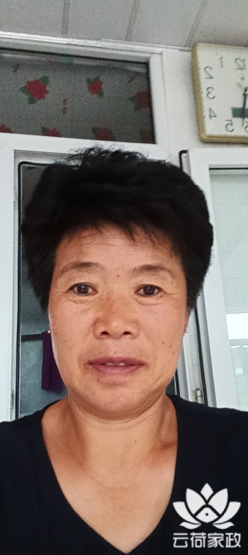 阿姨资料照片