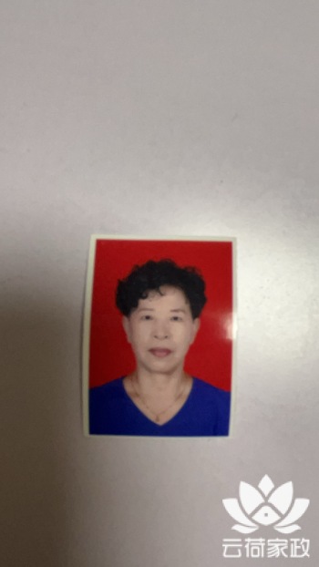 阿姨资料照片
