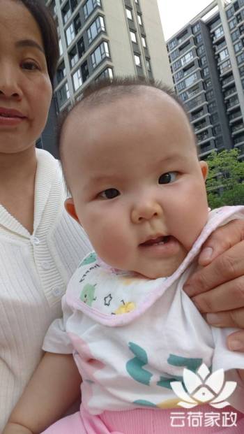 阿姨资料照片