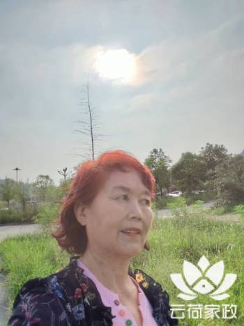 阿姨资料照片