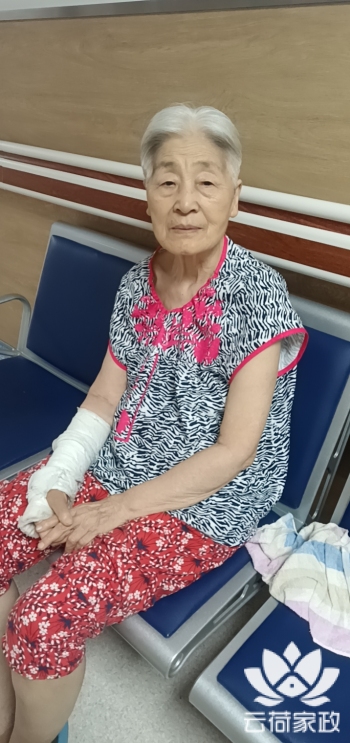 阿姨资料照片