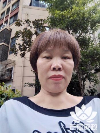 阿姨资料照片