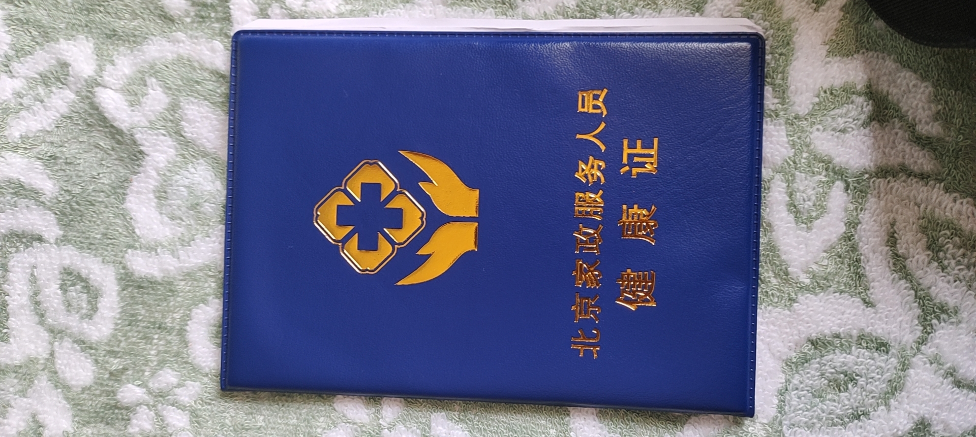 阿姨资料照片