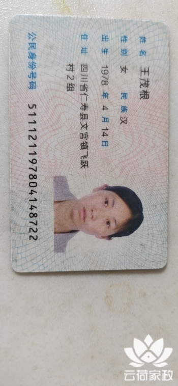 阿姨资料照片