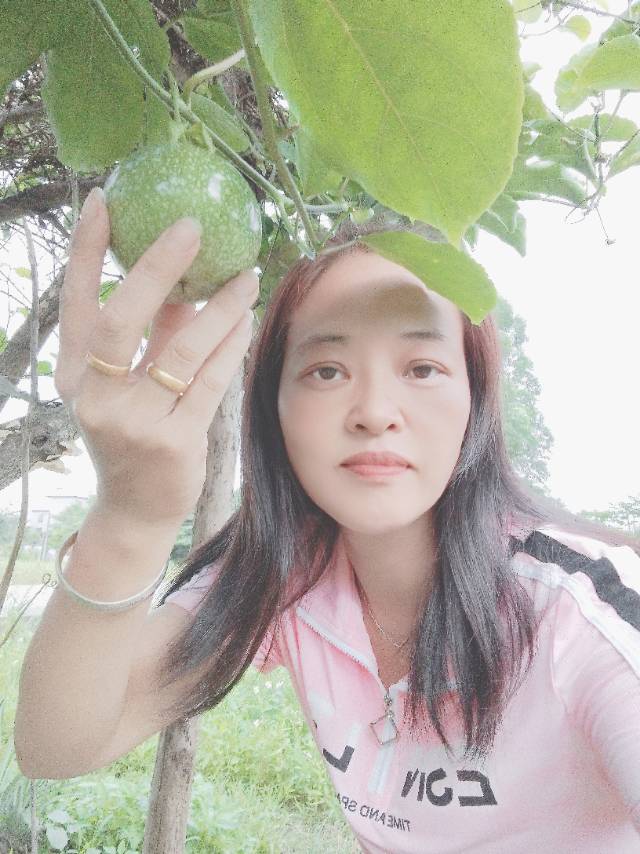 阿姨资料照片