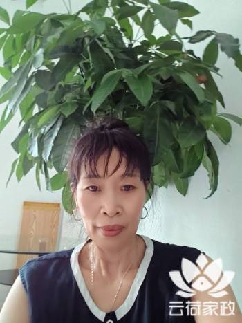 阿姨资料照片